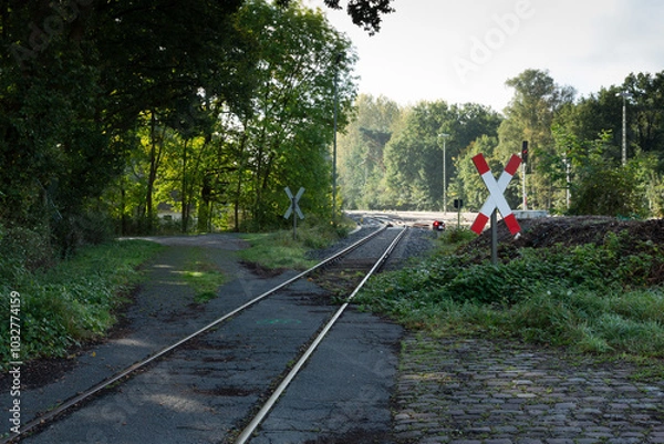Obraz Ein Bahngleis führt durch eine Schneise im Wald und passiert ein Andreaskreuz.