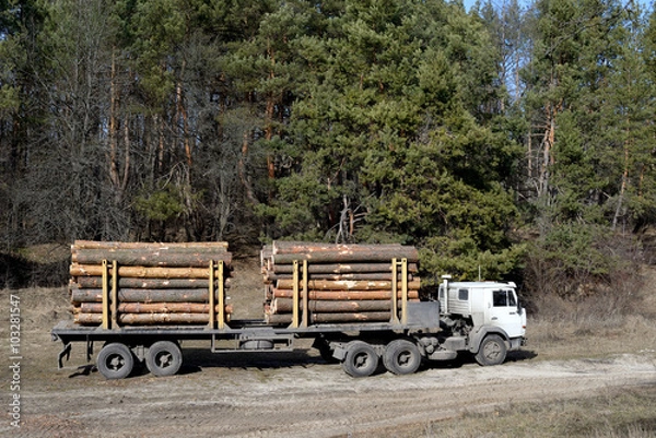 Obraz Timber transport