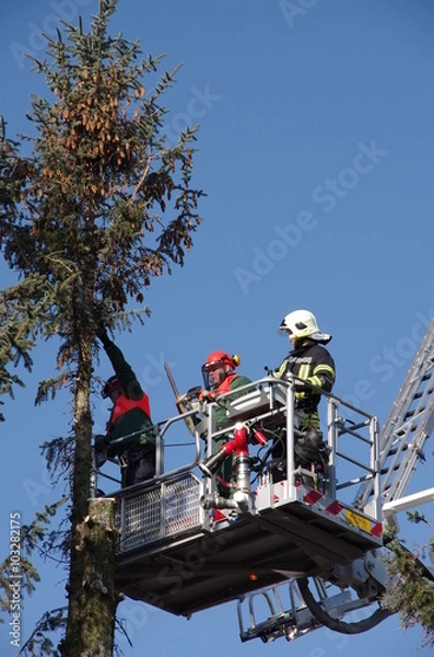 Fototapeta Baumschnitt