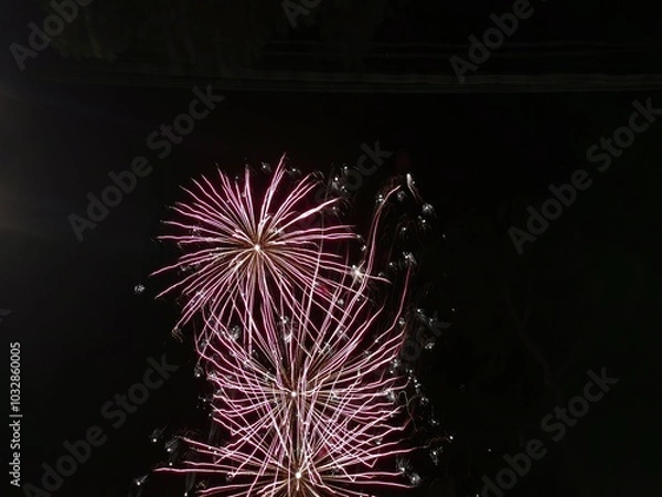 Obraz Fireworks​ on​ the​ dark ​sky​ background
