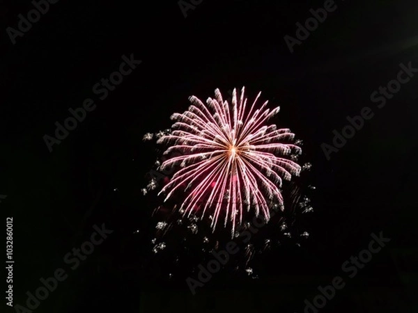 Obraz Fireworks​ on​ the​ dark ​sky​ background