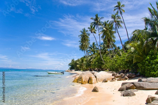 Fototapeta palm beach