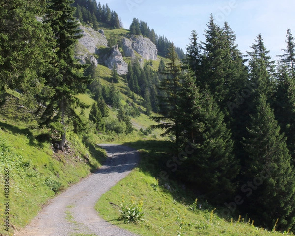 Obraz Alpine Road In Summer