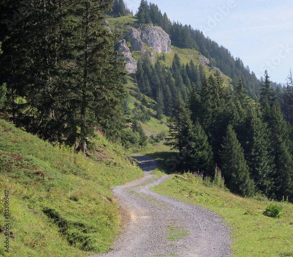 Obraz Alpine Road In Summer