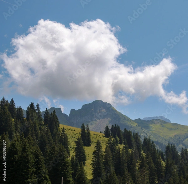 Obraz Mountain Peak In Summer