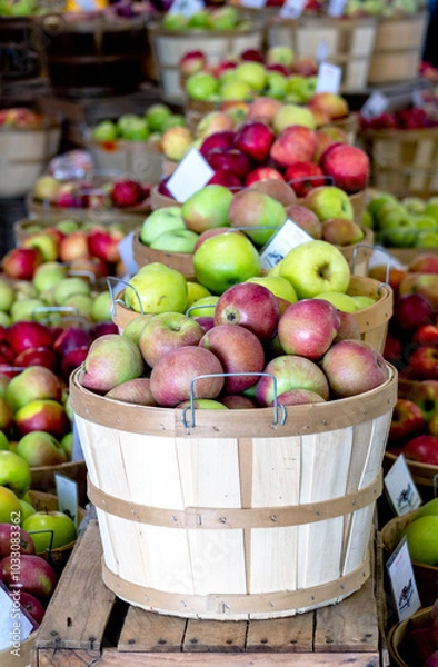 Obraz Baskets of beautiful  apples fill bushels with many varieties , n this Michigan farm market 