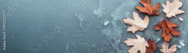 Fototapeta Fallen maple leaves resting on frosty surface create serene autumn scene, showcasing beauty of natures transition. icy ground contrasts with warm hues of leaves