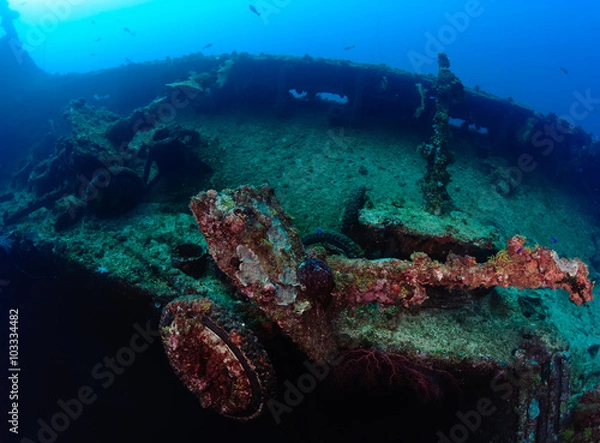 Fototapeta Artillery gun on the deck of the wreck ship