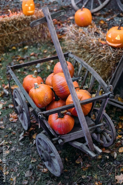 Obraz Halloween pumpkins or jack o lantern.