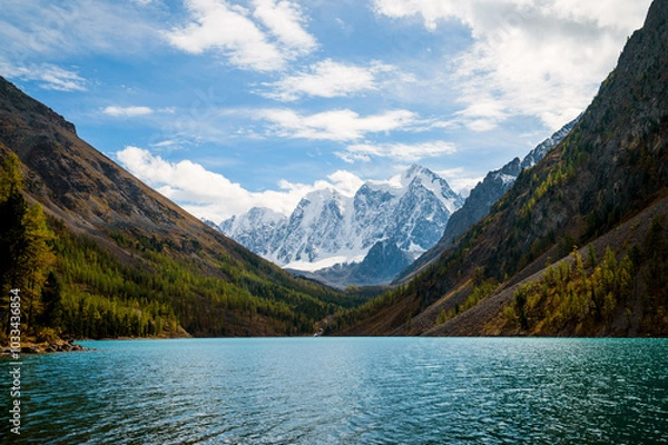 Fototapeta Shavlinskoye lake in Altai during the golden autumn, against the background of snow-capped mountains UNESCO heritage