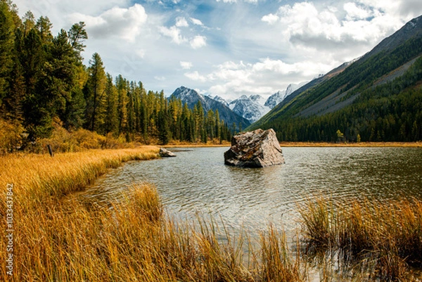 Fototapeta Shavlinskoye lake in Altai during the golden autumn, against the background of snow-capped mountains UNESCO heritage