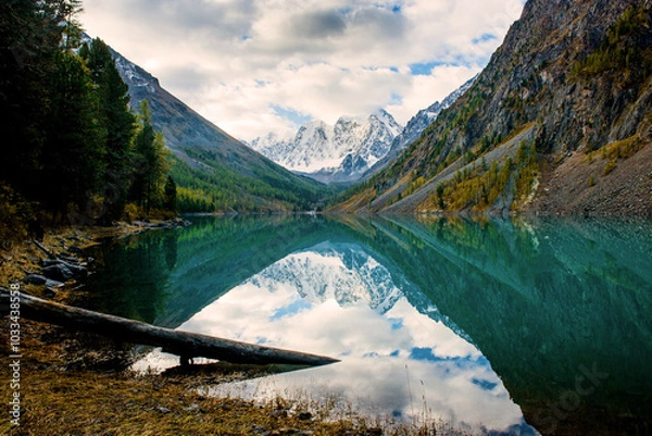 Fototapeta Shavlinskoye lake in Altai during the golden autumn, against the background of snow-capped mountains UNESCO heritage