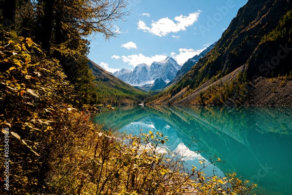 Fototapeta Shavlinskoye lake in Altai during the golden autumn, against the background of snow-capped mountains UNESCO heritage