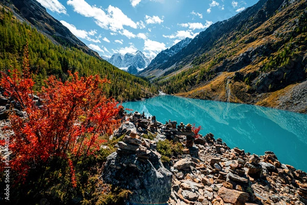 Fototapeta Shavlinskoye lake in Altai during the golden autumn, against the background of snow-capped mountains UNESCO heritage