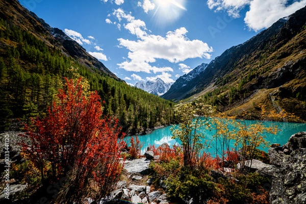 Fototapeta Shavlinskoye lake in Altai during the golden autumn, against the background of snow-capped mountains UNESCO heritage