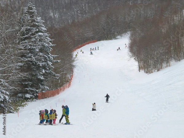 Obraz スキースクール