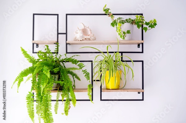 Obraz decorative shelf with flowers on white wall