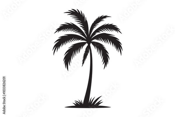 Fototapeta White Background Palm Tree Vector.