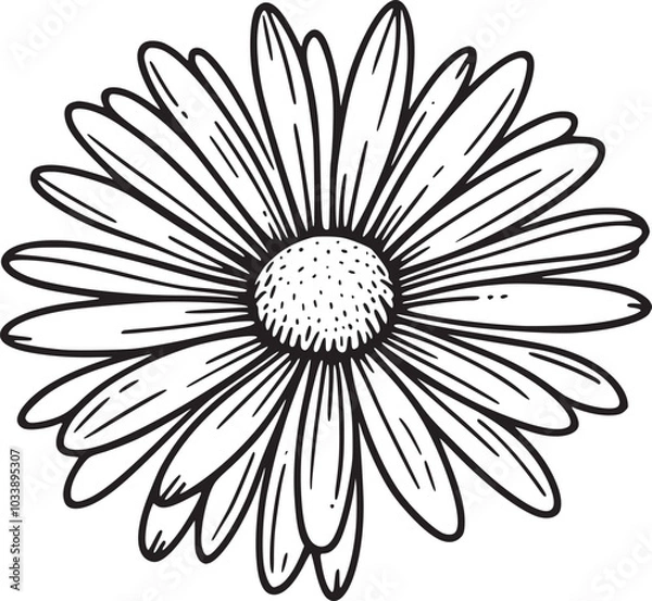 Fototapeta This is an illustration of flowers in a simple and modern line art style.