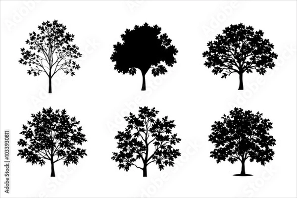 Fototapeta Black silhouettes set of maple leaves Silhouette illustration bundle collection - Autumn fallen leaves of maple