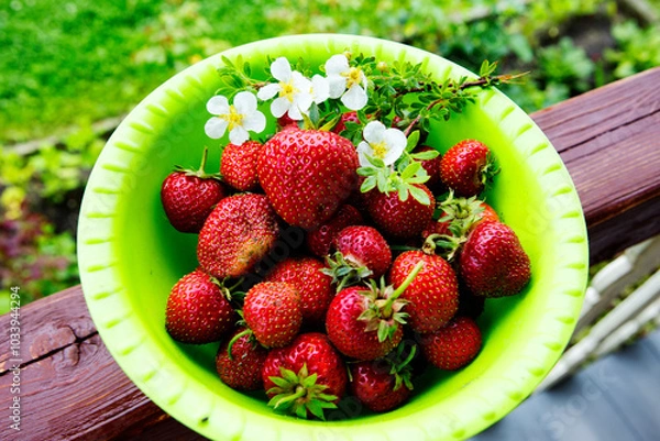 Fototapeta Strawberries in a bowl.
 Strawberries are one of the most delicious berries that are loved and grown in gardens and vegetable gardens.