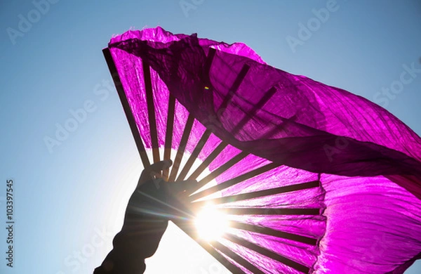 Obraz carnaval de Nice