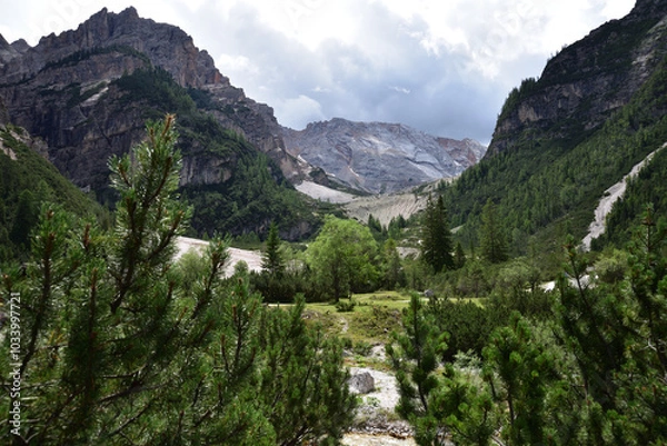 Obraz Nature and mountains at the bottom of the valley