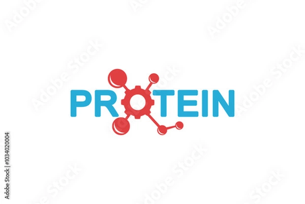 Fototapeta Vector is the word "protein Service" from amino acids to complex protein molecules. Protein is a polymer (polypeptide) formed from a chain of amino acids.