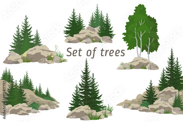 Fototapeta Set Landscapes, Isolated on White Background Coniferous and Deciduous Trees, Flowers and Grass on the Rocks. Vector