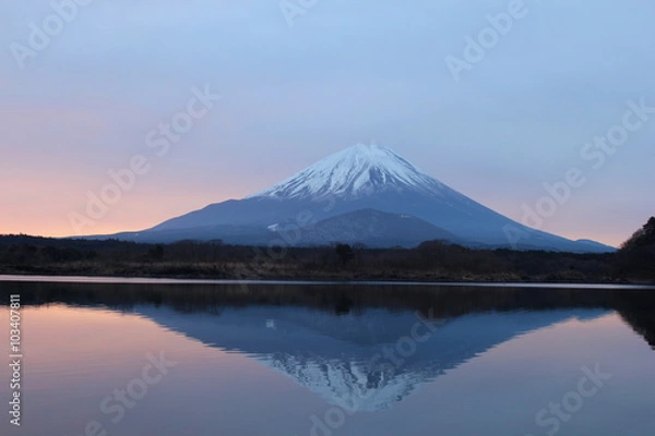 Fototapeta 精進湖と富士山