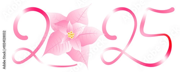 Obraz rosa weihnachtsstern 2025, adventsstern