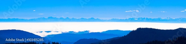 Obraz OLYMPUS DIGITAL CAMERA