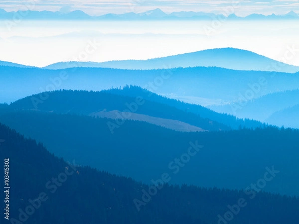 Obraz Schwarzwald mit Alpenkette