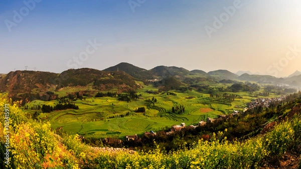 Fototapeta Mustard fields