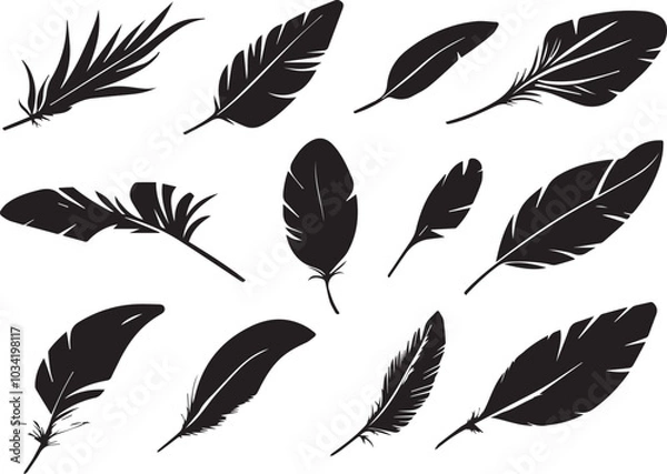 Fototapeta Set of bird feathers on a white background, line art, feather silhouettes.
