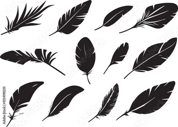 Fototapeta Set of bird feathers on a white background, line art, feather silhouettes.