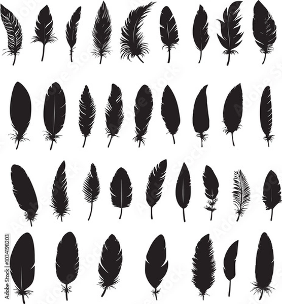 Fototapeta Set of bird feathers on a white background, line art, feather silhouettes.