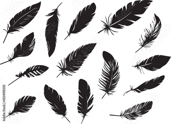 Fototapeta Set of bird feathers on a white background, line art, feather silhouettes.