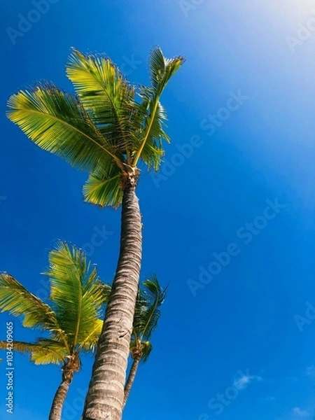 Obraz Processed with VSCO with l6 preset