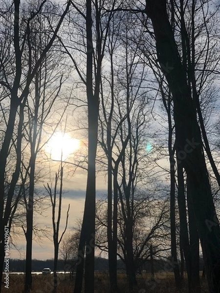 Obraz sunset over the lake