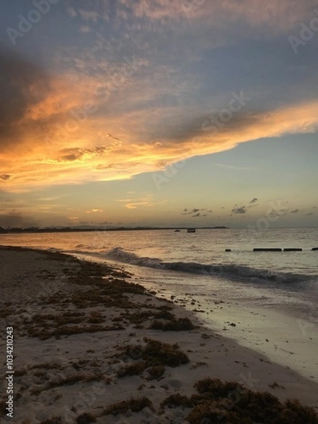 Obraz sunset on the beach