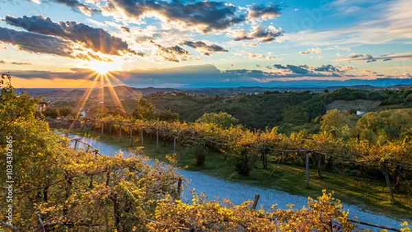 Fototapeta Colorful sunset in the vineyards at the border between Italy and Slovenia