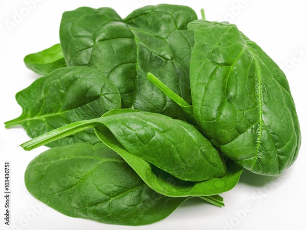 Obraz Liście szpinaku