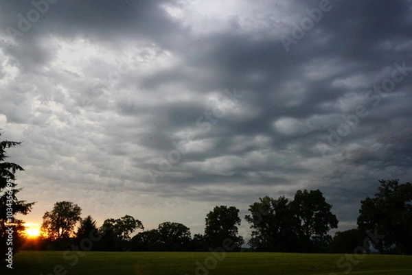 Obraz sunset in the forest