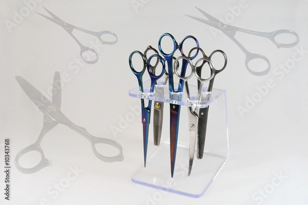 Obraz Scheren zur Hundepflege