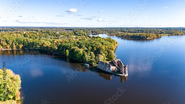 Obraz lake and forest