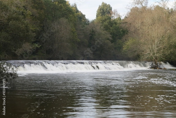 Obraz Cascada del río
