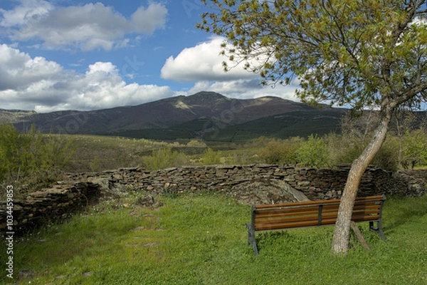 Fototapeta Panoramic nature view from an empty bench