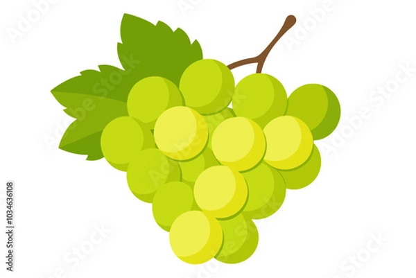 Fototapeta Bunch of green grapes isolated on white background vector art illustration