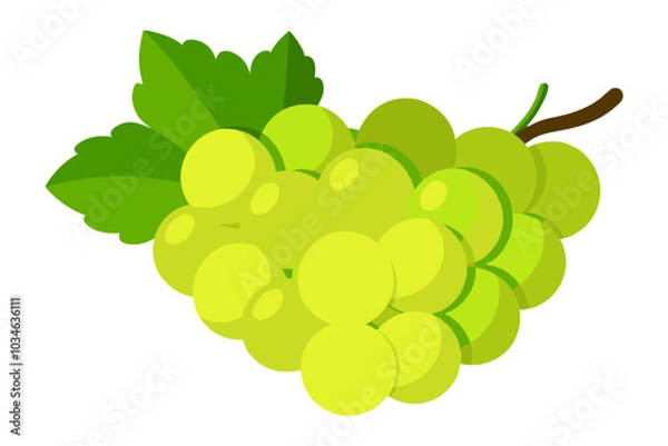Fototapeta Bunch of green grapes isolated on white background vector art illustration